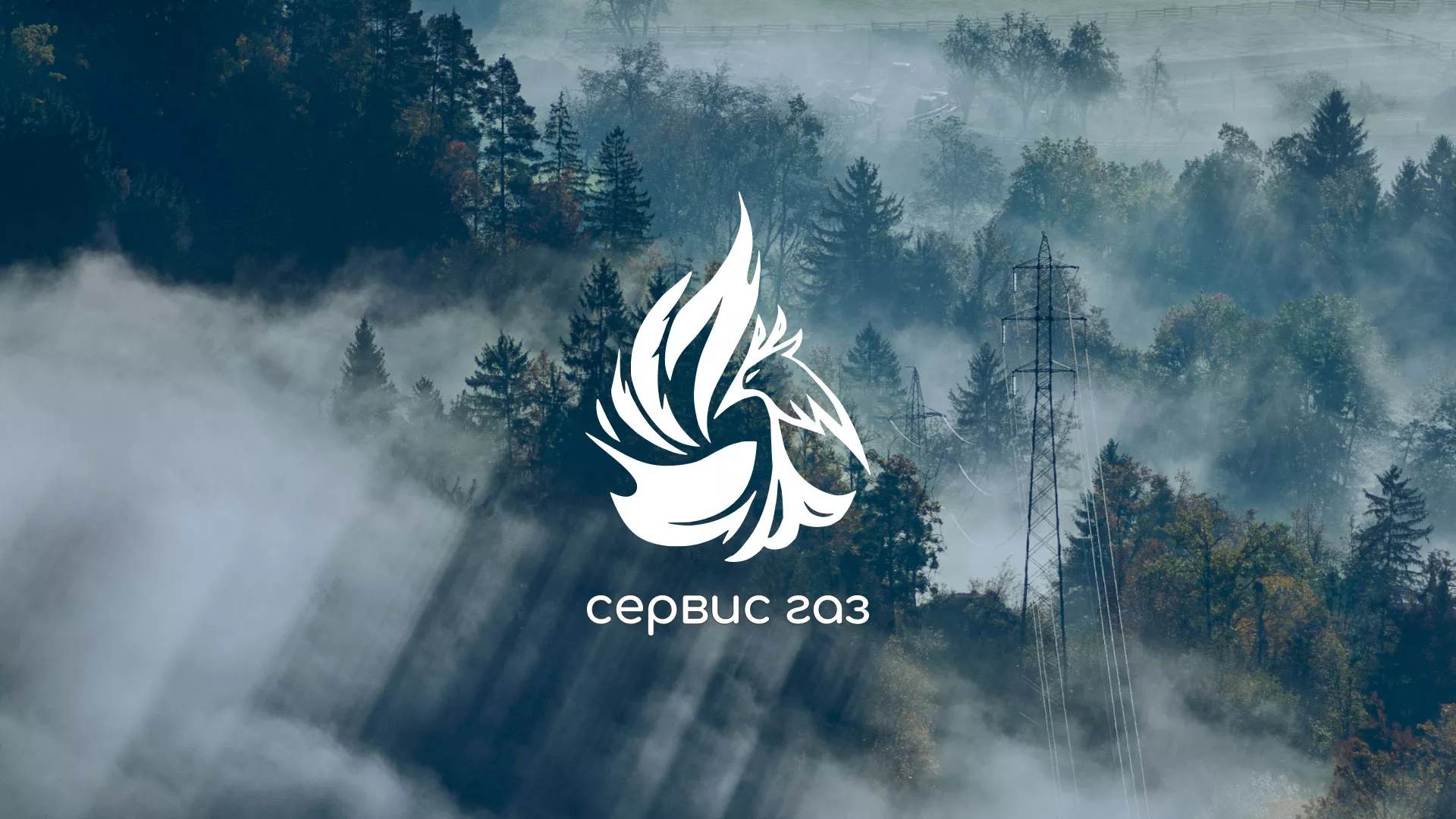 Создание сайта компании «Сервис газ» в Дмитрове