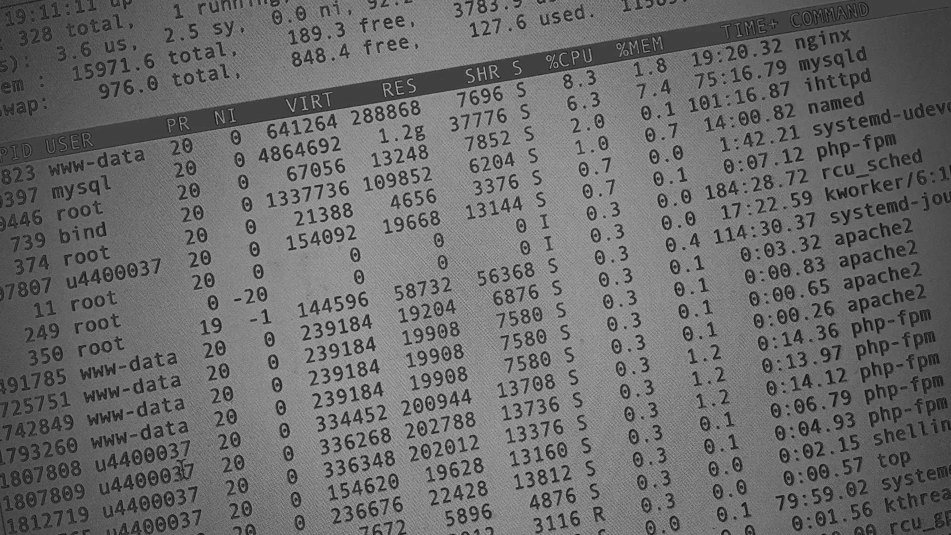 Настройка сервера в Дмитрове