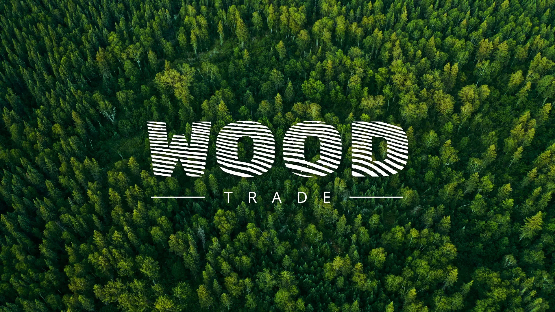 Разработка интернет-магазина компании «Wood Trade» в Дмитрове