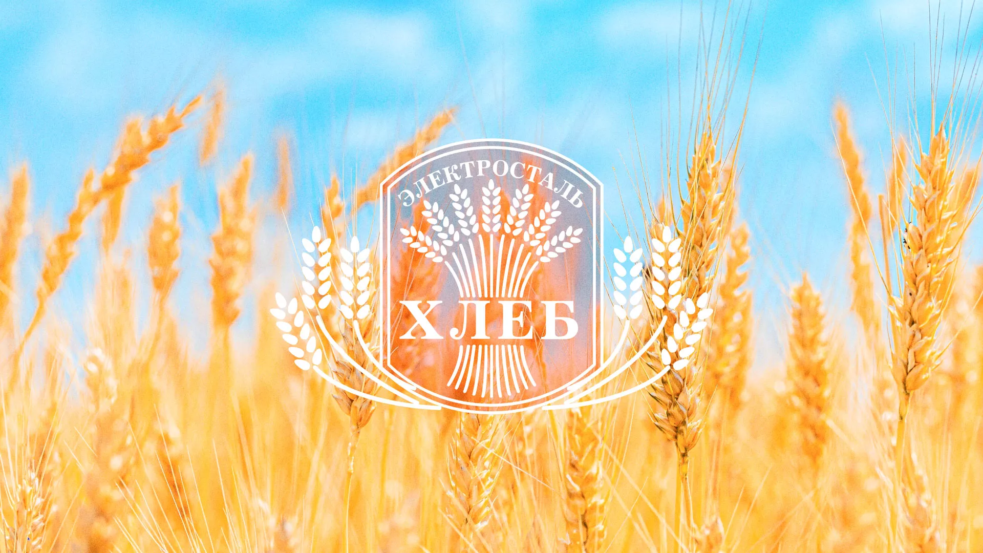 Создание сайта для хлебзавода в Дмитрове