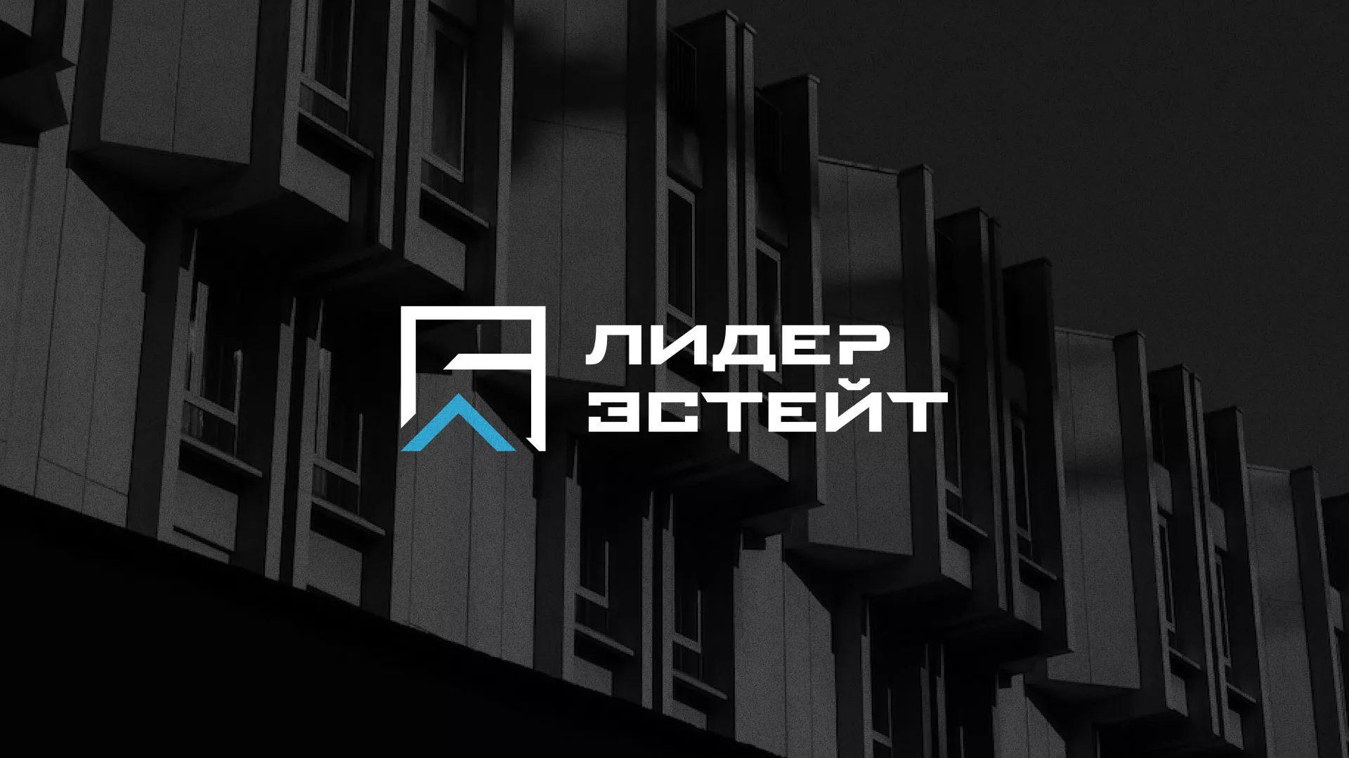 Разработка логотипа агентства недвижимости «Лидер Эстейт» в Дмитрове