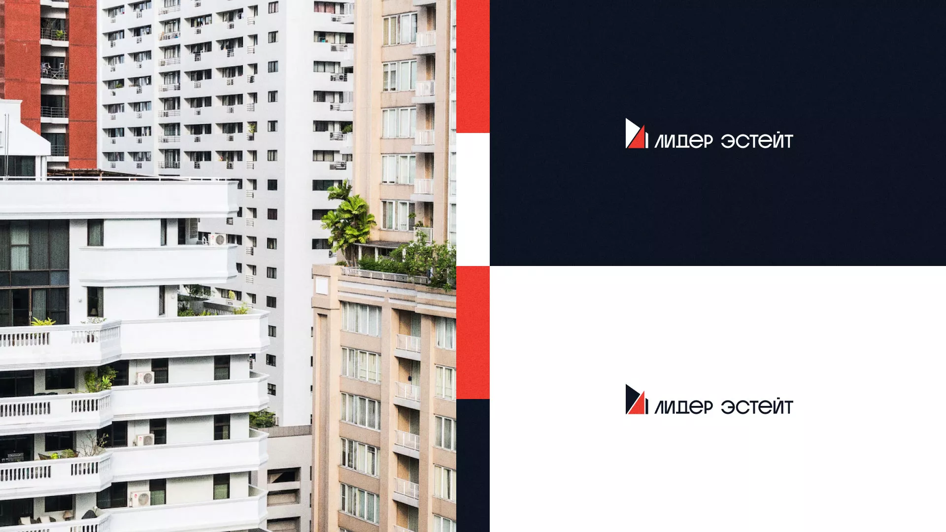 Сделали логотип для агентства недвижимости «Лидер Эстейт» в Дмитрове